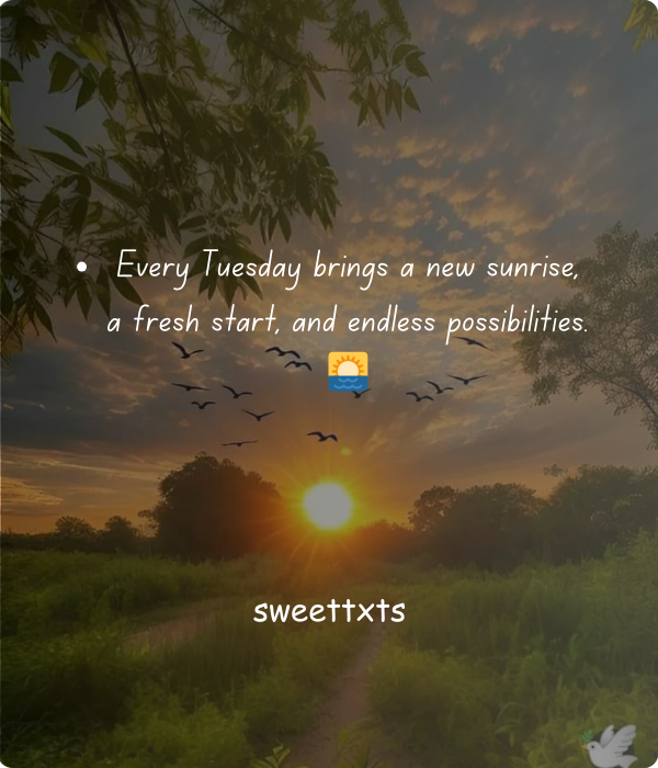 Experience the Inspiration of Tuesday Blessings