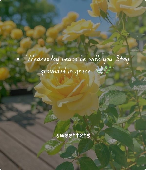 Spiritual Wednesday Blessings and Prayers for Peace and Clarity