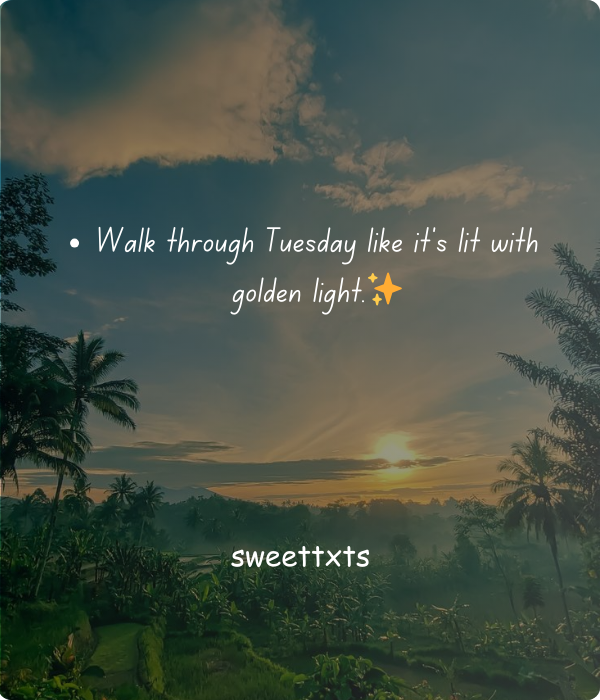 A Day Filled with Tuesday Blessings