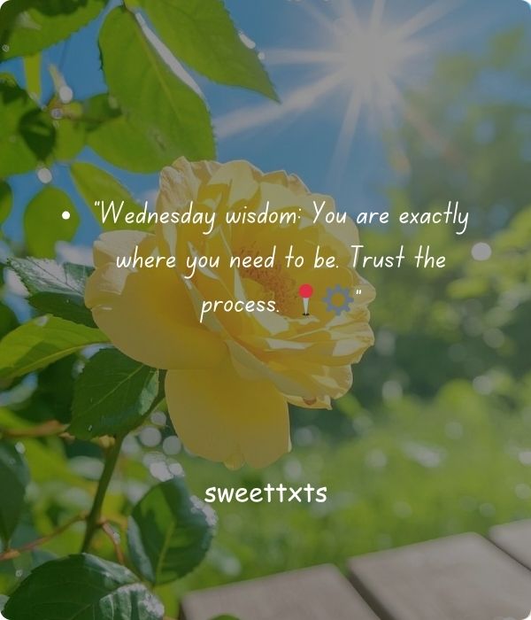Comforting Wednesday Blessings and Prayers for Hard Times