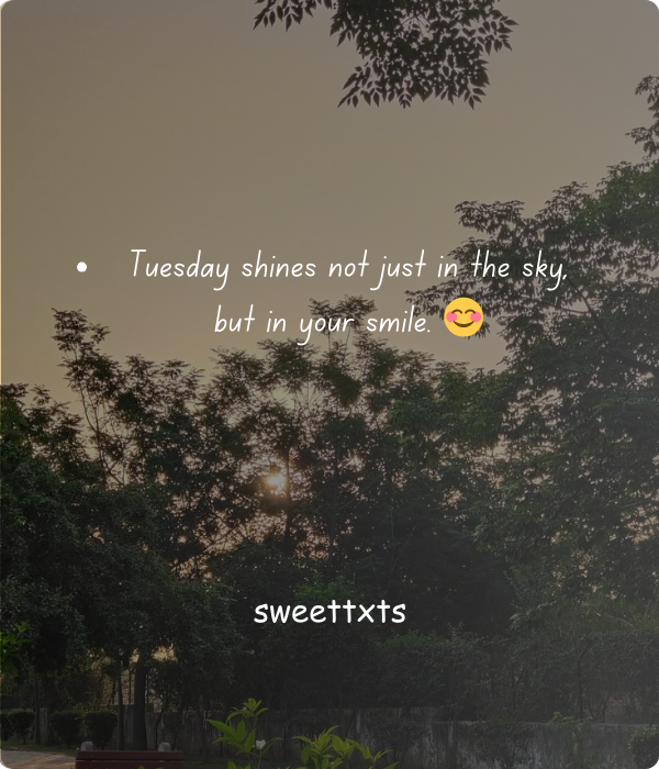 Blessings in Every Tuesday Moment