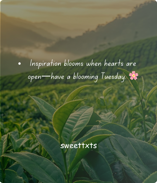 Positive Tuesday Morning Blessings