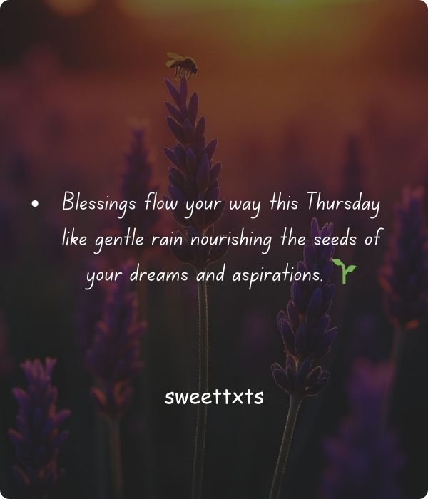Thursday Morning Greetings