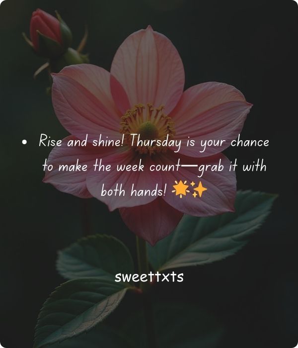 Thursday Blessings 2024