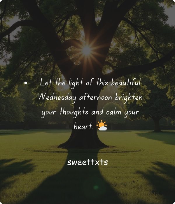 Wednesday Afternoon Greetings