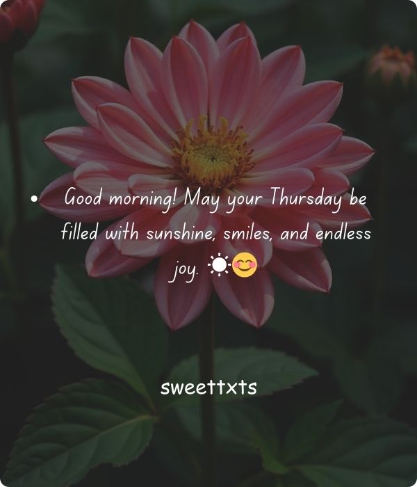 Happy and Beautiful Thursday Blessings