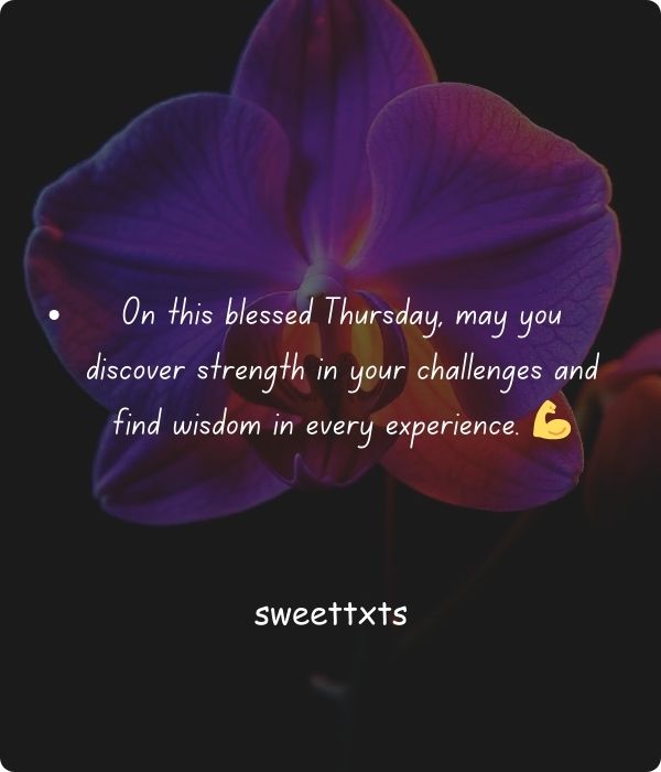 Thankful Thursday Blessings