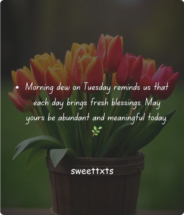 Thankful Tuesday Blessings to Start Your Day