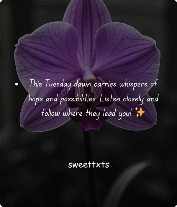Happy Blessed Tuesday Messages