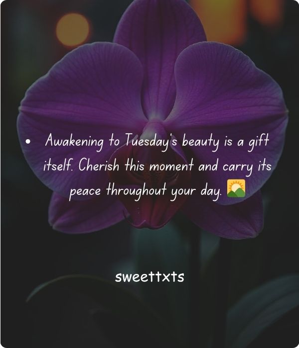 Tuesday Blessings Quotes with Beautiful Words