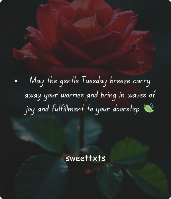 Good Morning Tuesday Wishes for Friends and Family