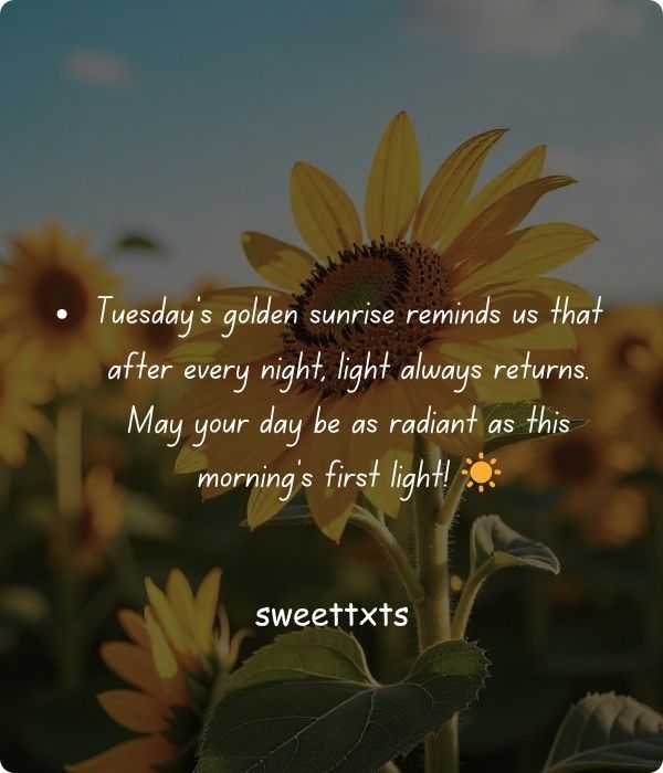 Motivational Tuesday Morning Greetings