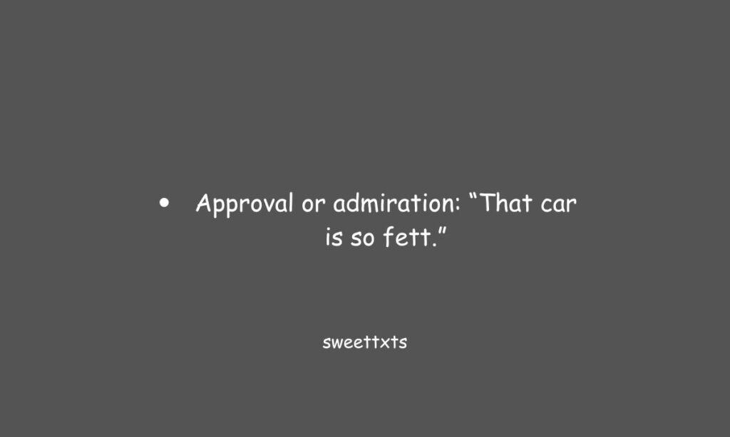 Fett Meaning in Text