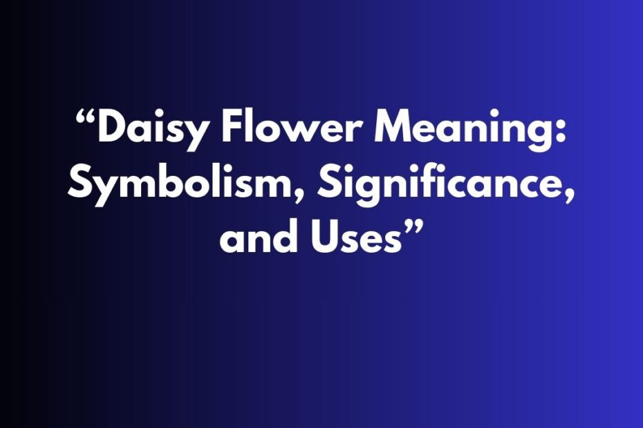 “Daisy Flower Meaning: Symbolism, Significance, and Uses”