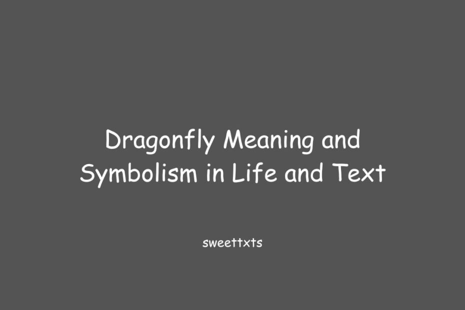 Dragonfly Meaning and Symbolism in Life and Text