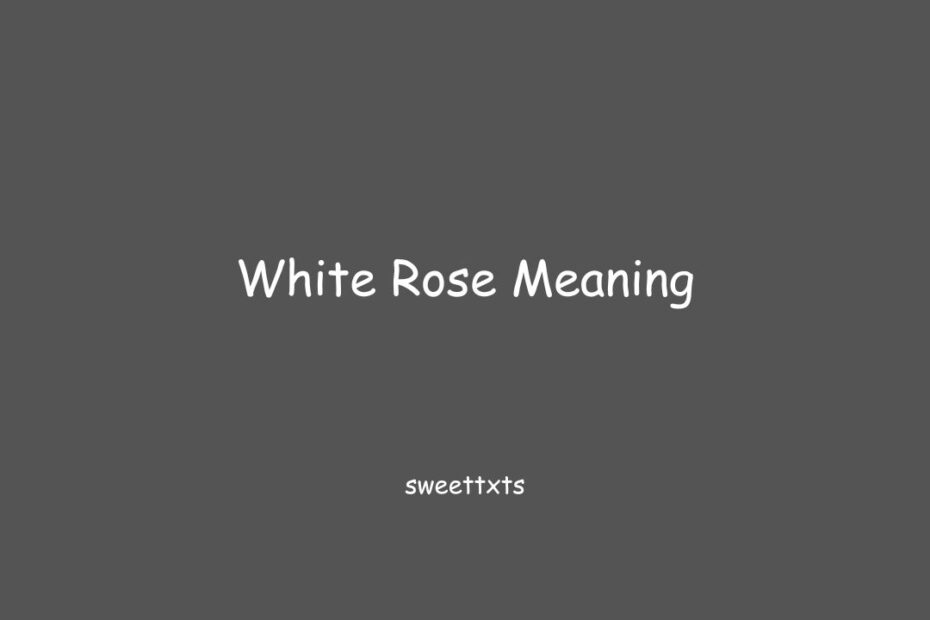 White Rose Meaning