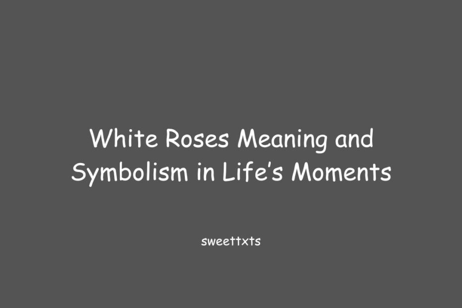 White Roses Meaning and Symbolism in Life’s Moments